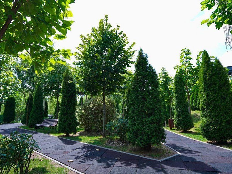 Inchiriere apartament 2 camere  | Complex rezidential | Floreasca| Nord - Poză 11