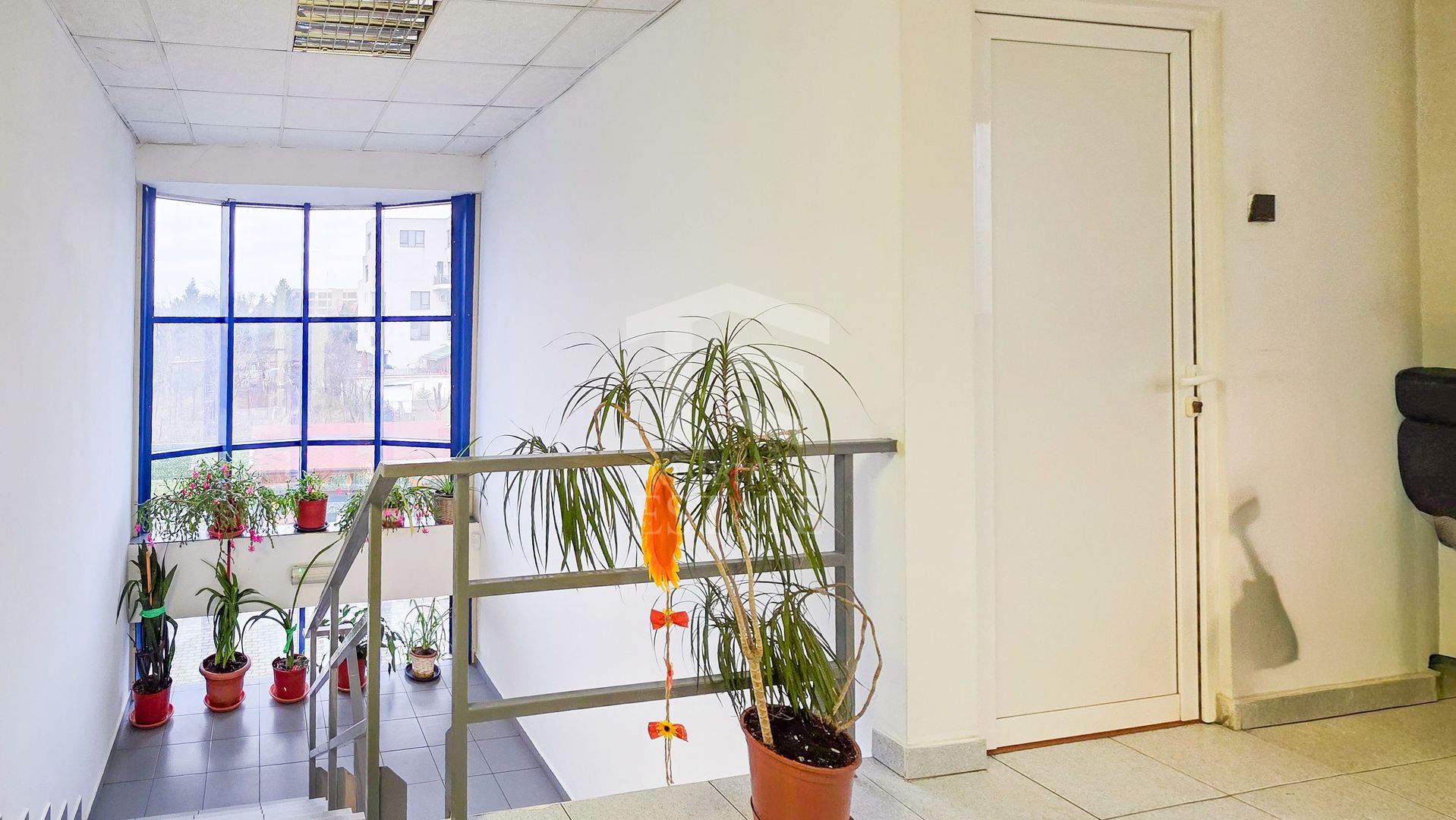 Spațiu industrial–afacere catering la cheie, teren&hală 750 mp S+P+1E - Poză 8