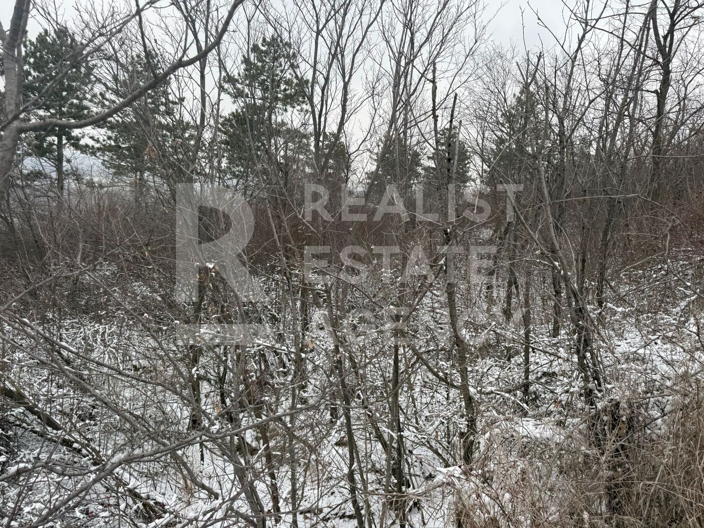 Teren extravilan/ fostă livadă/ zona Bucium, Iași - Poză 5