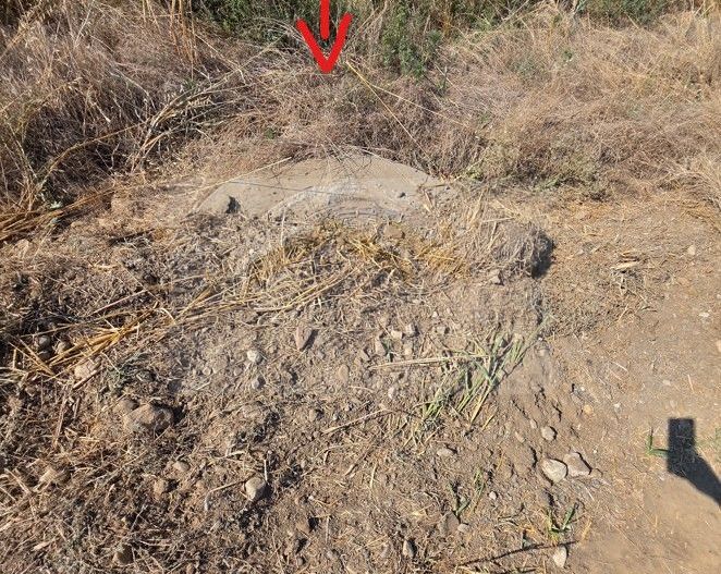 Teren intravilan 5.450 mp – Strada Castanilor, Ciorogârla – zonă rezidențială în - Poză 4