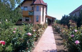 Casă 2 familii / firmă + livadă Satu Mare - Cionchești