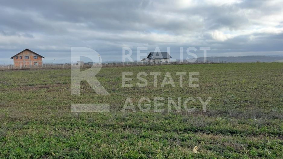 Teren 10.000 mp: 5.000 mp intravilan + 5.000 mp extravilan – Horlești - Poză 1