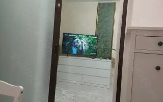 Drumul Taberei -Bucla, apartament de vanzare - Poză 6