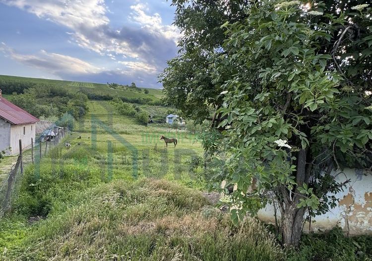 Teren intravilan de 6000 mp in Coarnele Caprei, Valea Babei, cu iesire la strada principala - Poză 5