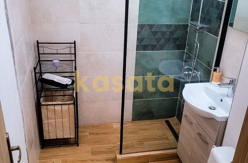 Favorit | Garsonieră de închiriat | Metrou - Poză 4