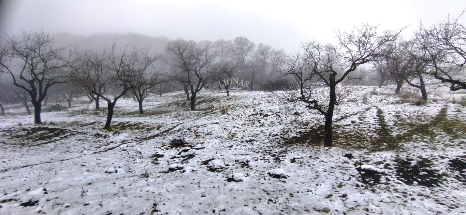 3 Parcele de teren 500 mp si 900 mp cu utilitati-Valea Ghinzii - Poză 2