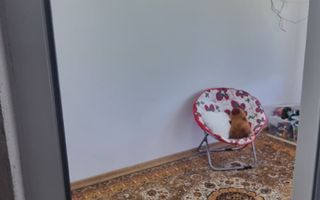 CASA LADESTI-VALCEA| RENOVATA SI MOBILATA| 5000 MP TEREN - Poză 5