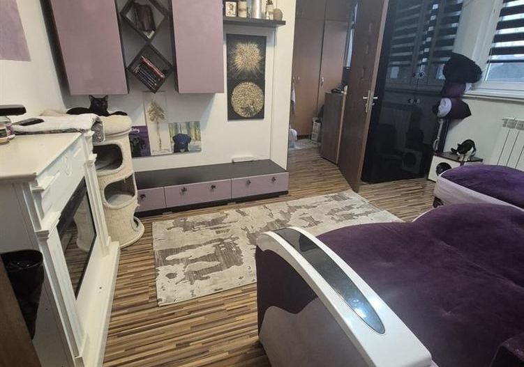 Apartament 2 camere semidecomandat, Valea Rosie - Poză 2