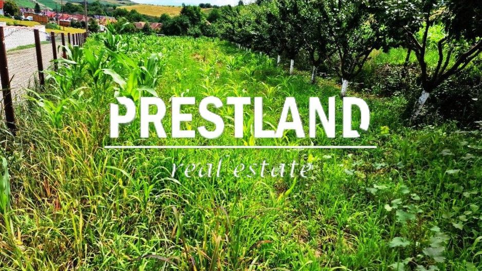 Teren intravilan construcții in Șura Mare. - Poză 1