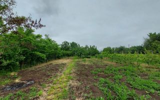 Casa | 1331 mp Teren | Miercurea Sibiului | - Poză 9