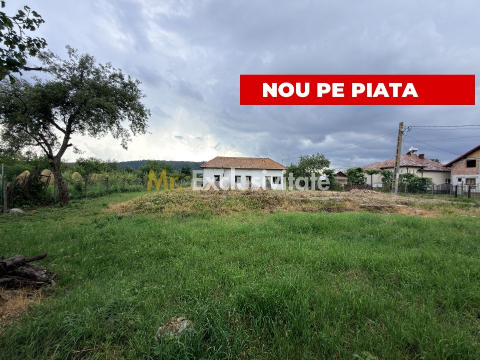 Teren intravilan–2.109 mp | Albești - Transfagarasan - Curtea de Arges - Poză 1