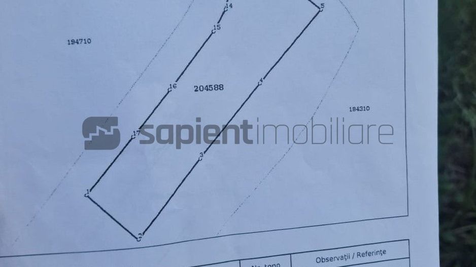 Teren Intravilan BORS - Poză 3