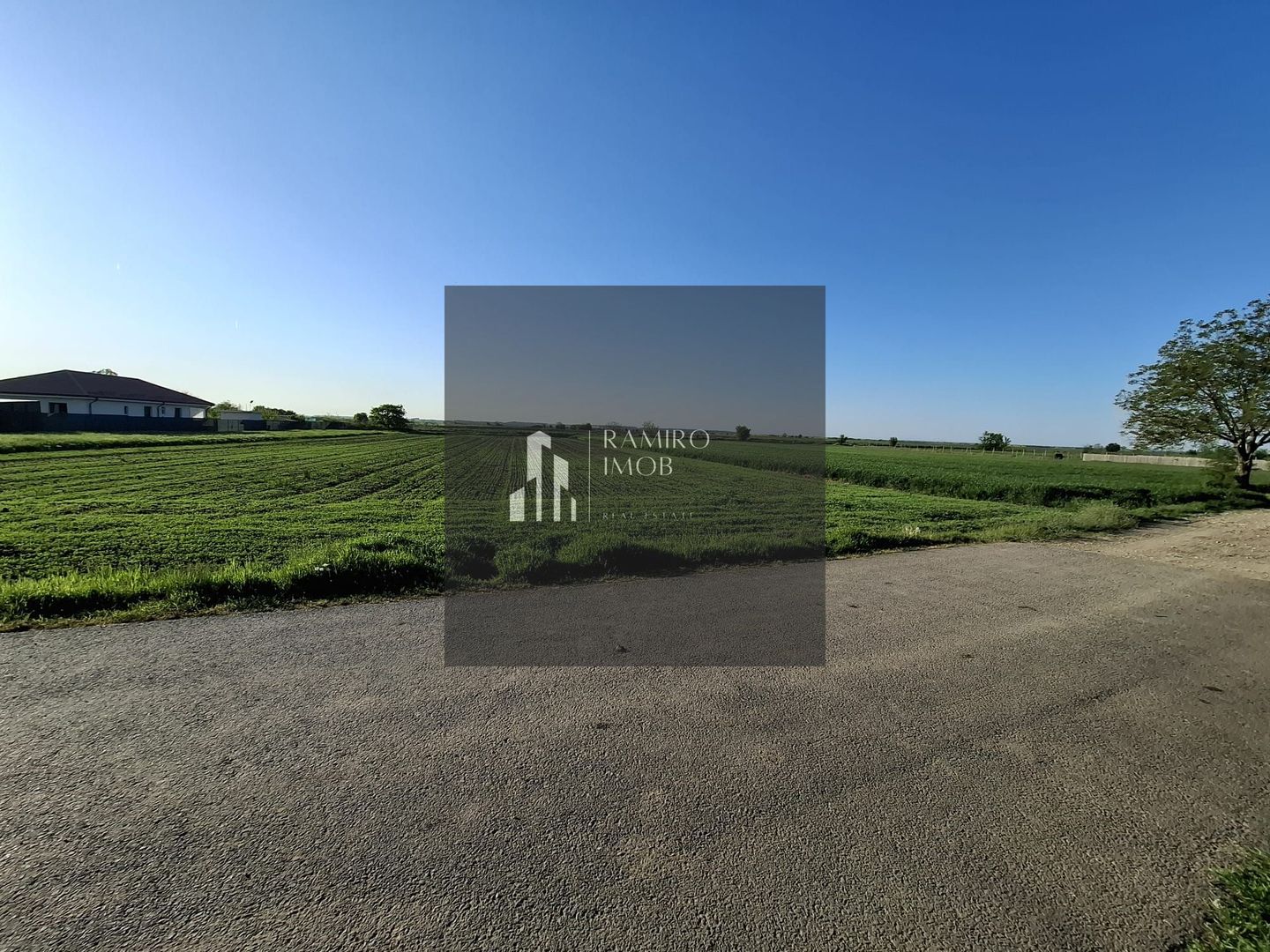 DÂRZA - TEREN INTRAVILAN - Poză 1