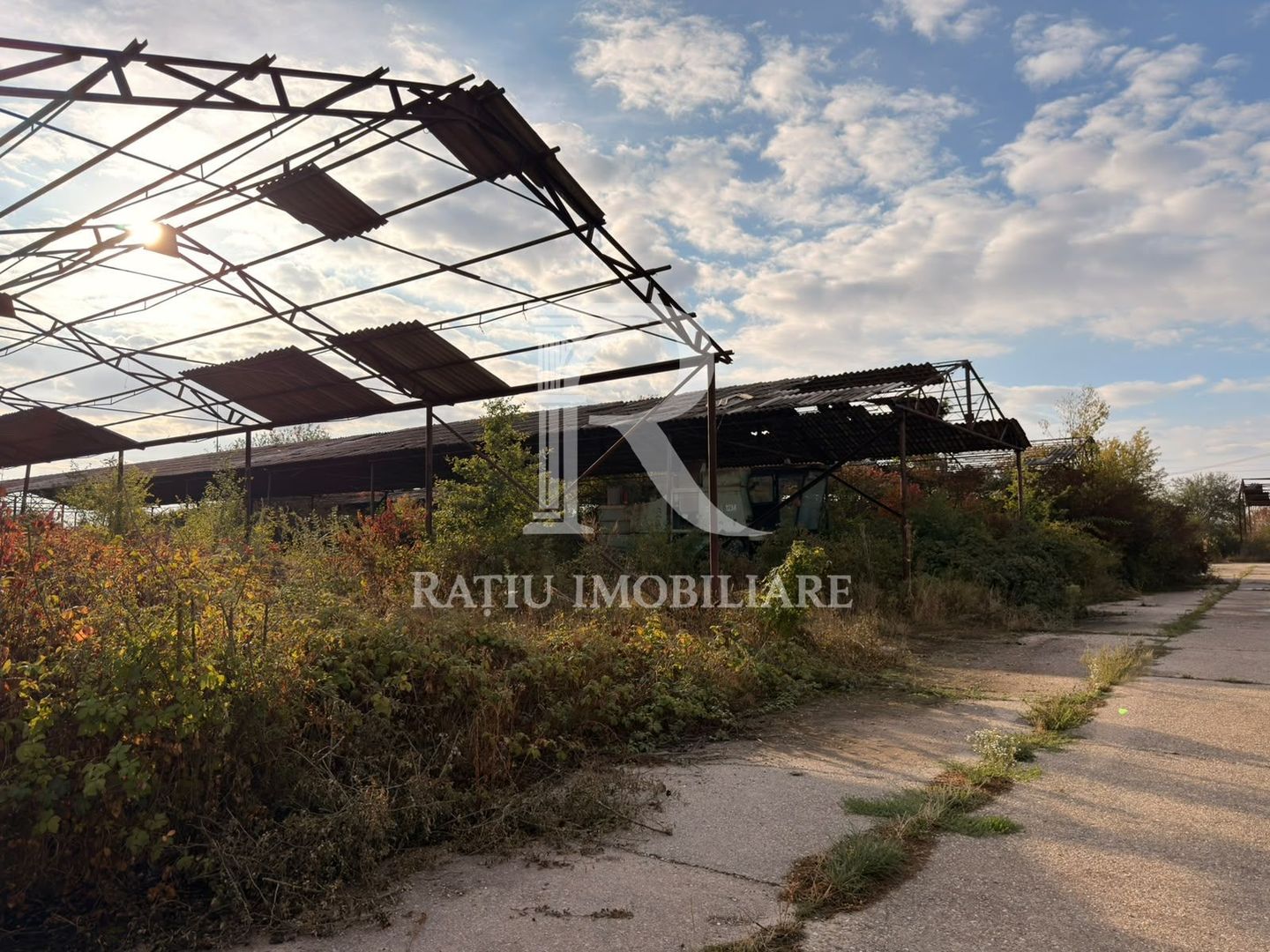 Fermă Sărand | Bihor | 25.659 mp teren intravilan - Poză 24