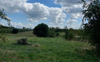 Casa in localitatea Carandeni - Poză 6