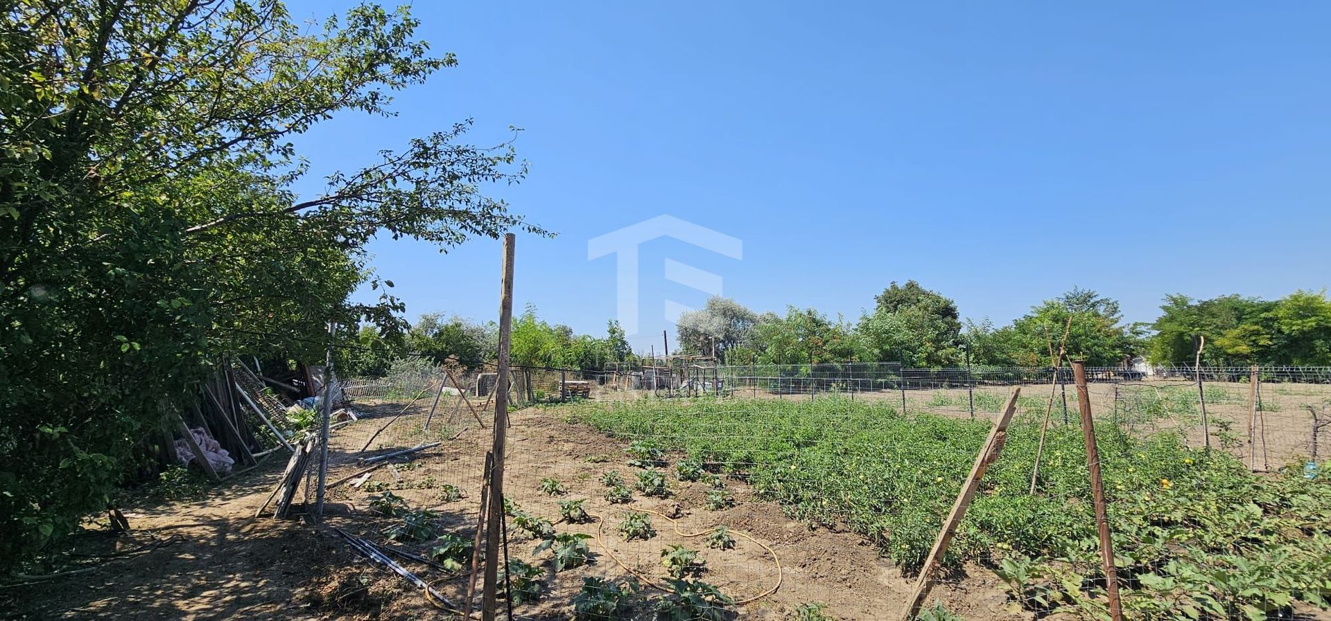 Teren intravilan 641 mp Eforie Nord – 38.000 € | Comision 0% - Poză 5