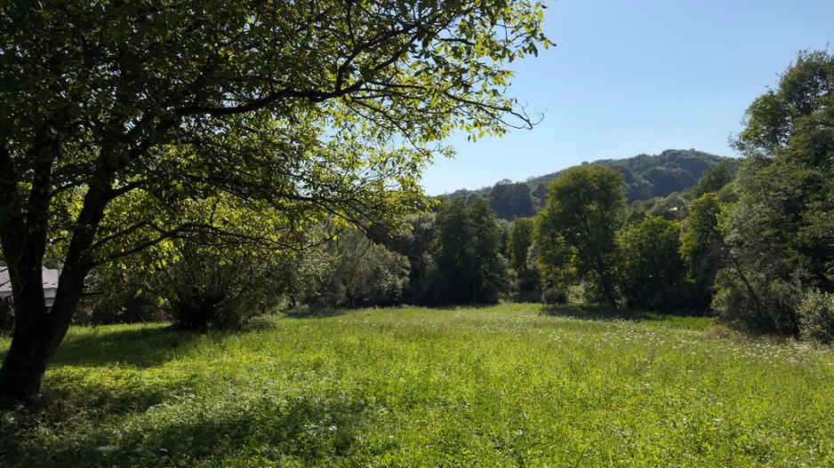 Teren Parau | Valea Danului, Curtea de Arges | Vidraru | - Poză 11