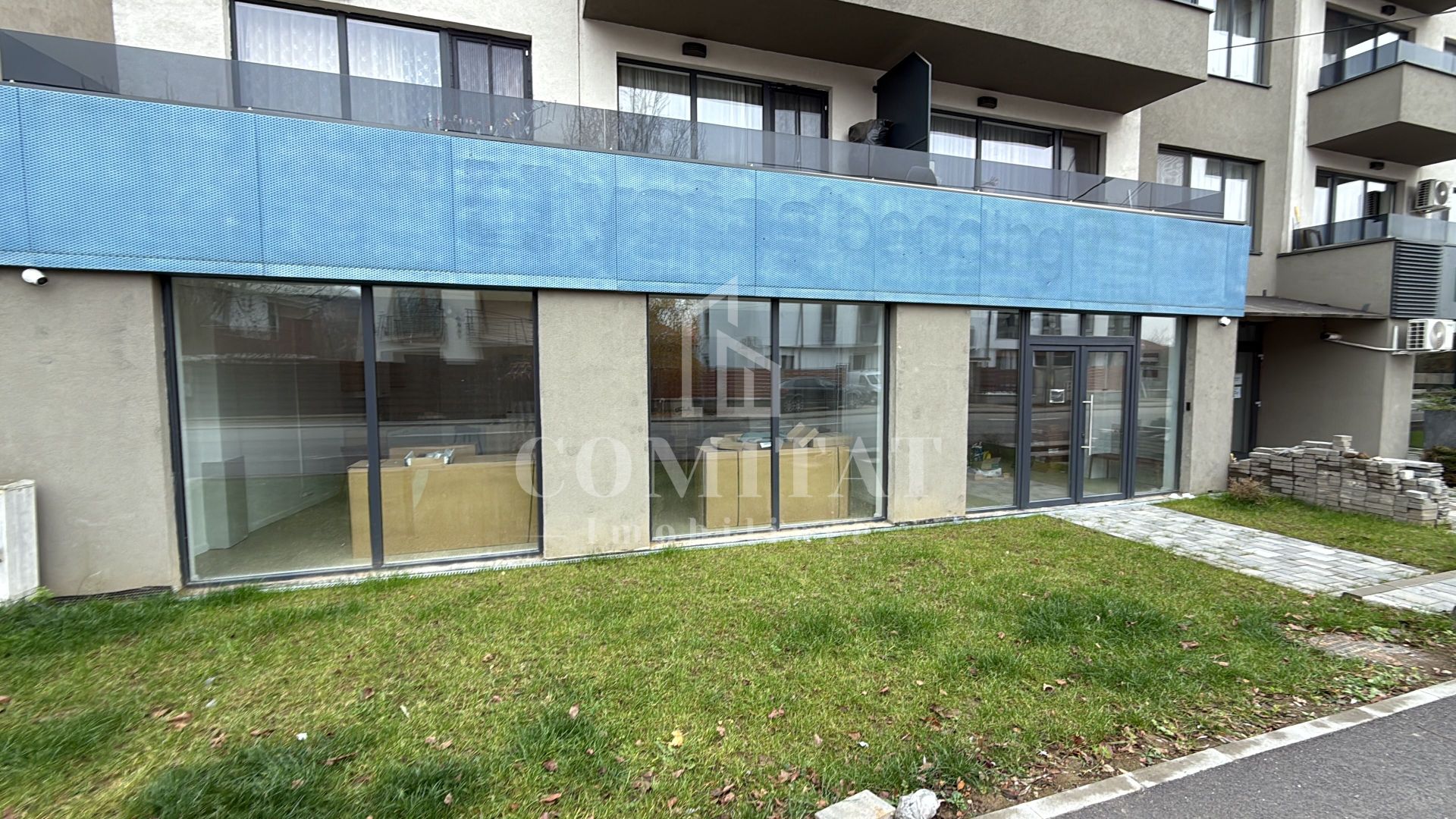 Spațiu comercial ideal showroom str Borhanciului - Poză 3