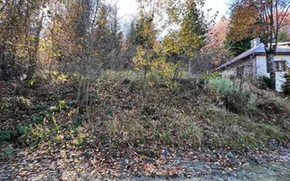 Teren 500 metri - central Sinaia - ideal constructii - Poză 3