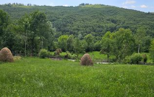 VANZARE 5 LOTURI TEREN PENTRU CASE DE VACANTE | TESILA | VALEA DOFTANEI |