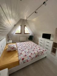 Casa de vanzare | Silistea Snagovului | teren mare - Poză 5