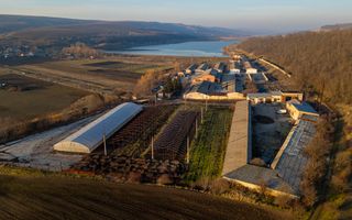 Fosta Ferma a Partidului de la Horgesti - de vanzare - Poză 3