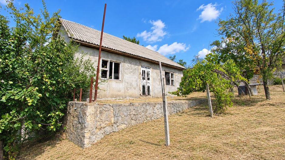 CASĂ GENEROASĂ CU 3 CAMERE – 90 m² | 17 ARI| ANENII NOI - Poză 3
