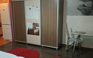 Garsoniera- Lapus - Poză 3