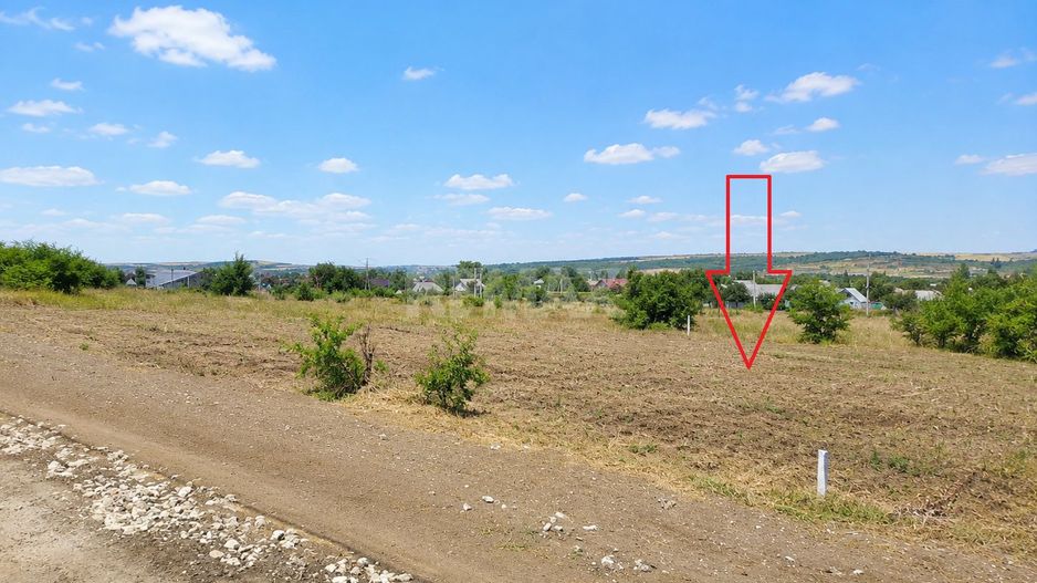 TEREN PENTRU CONSTRUCȚIE – 8 ARI | ȚÎNȚĂRENI- ANENII NOI - Poză 3