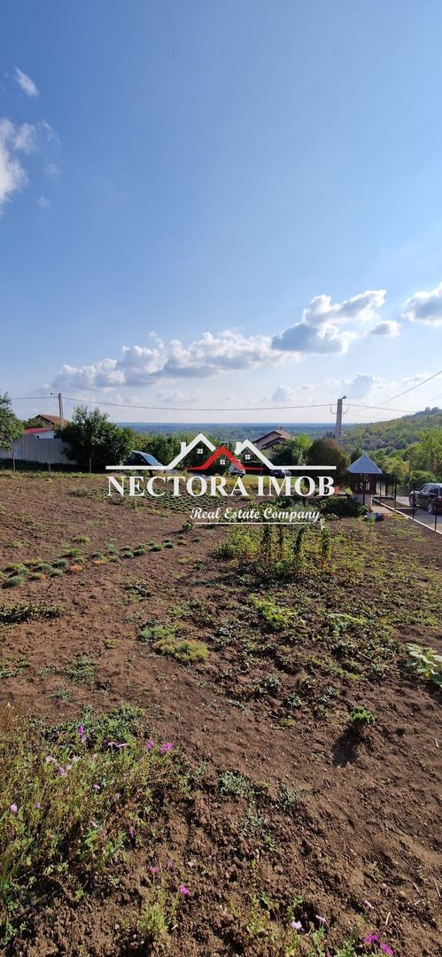 NECTORA IMOB-Casa Zona Podgoria cu 3 incaperi, 1700 mp teren,tip Conac - Poză 9