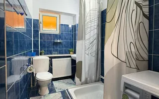 Apartament 1 camera | Etaj 1 | Decomandat | Curte | C. Noica - Poză 18