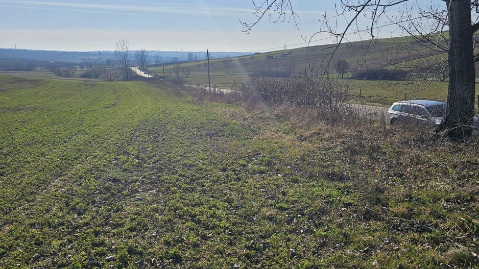 Teren intravilan Cetariu 1500 mp - Poză 6