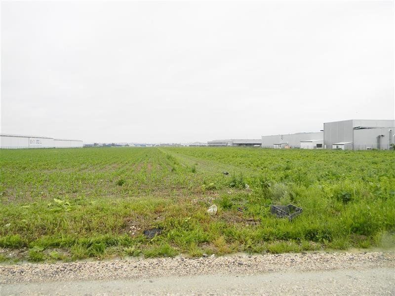 Teren pentru hale-Ghimbav-Joysonquin - Poză 10