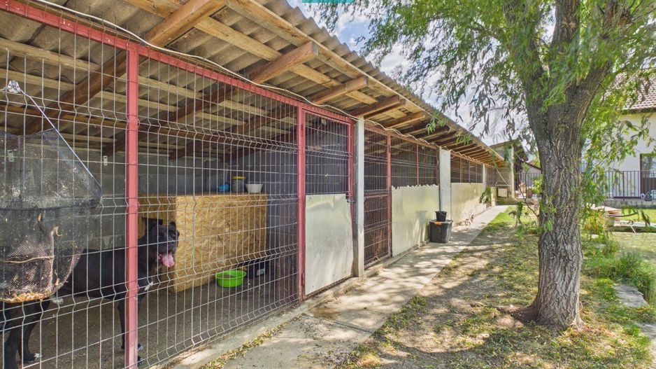Vilă unică în Șiria | 160 mp utili | Teren 945 mp - Poză 32