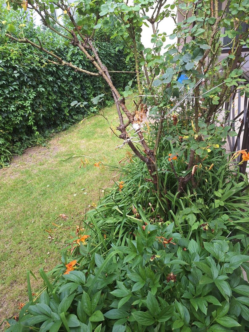 Casa cu 3 camere,posibilitate de mansardare Andrei Muresanu - Poză 1