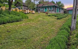 Casă de vânzare în satul Roșu, comuna Răducăneni, județul Iași – teren 5.000 mp cu livadă și vie - Poză 1