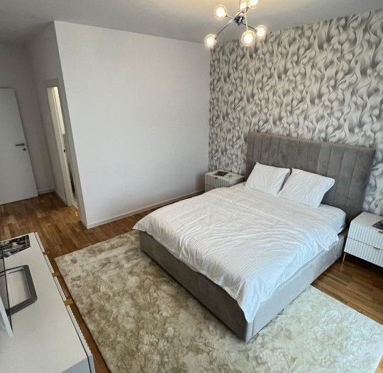 Apartament 4 Camere Jandarmeriei The Ivy Residence - Poză 8