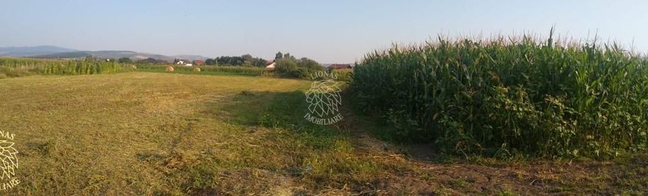 Teren 5500 mp-oportunitate investitie-pretabil cabana-Jelna - Poză 4