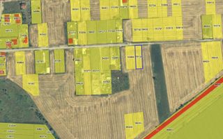 Teren intravilan Caciulati/Moara Vlasiei - Poză 2