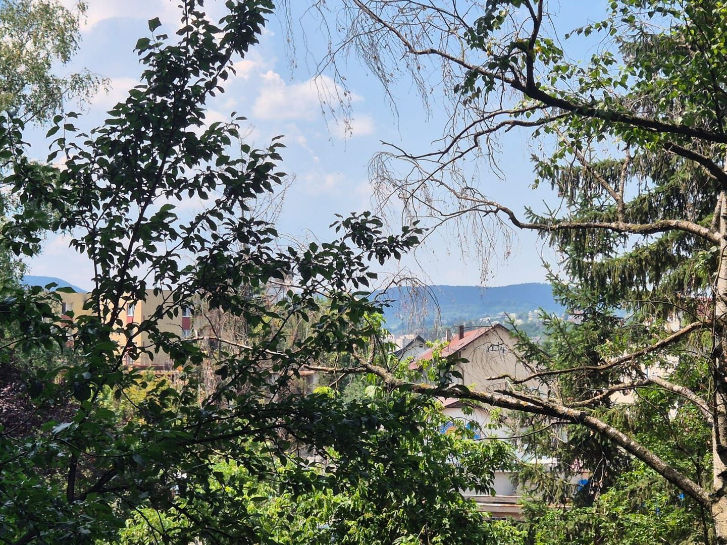 Apartament la 6 minute de gară, piata si Centru Civic, pet friendly - Poză 18