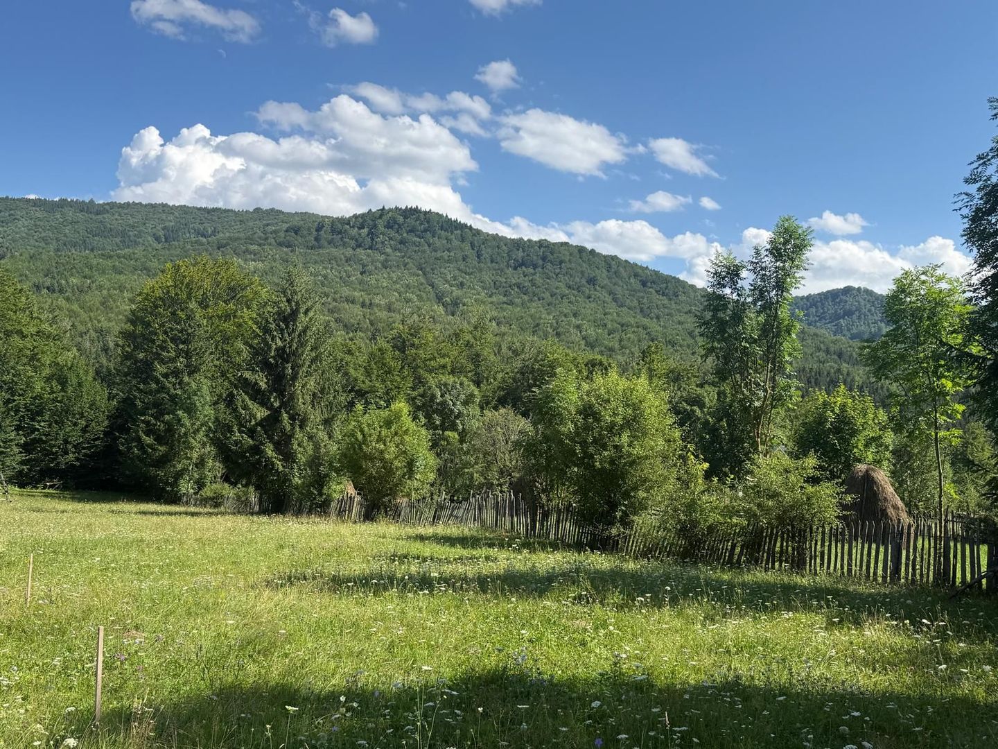 Teren intravilan 1662 mp pozitie superba-Calea Brasovului Valea Neagra - Poză 5