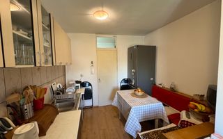 Apartament decomandat cu 3 camere in Florilor, strada Crinului - Poză 9