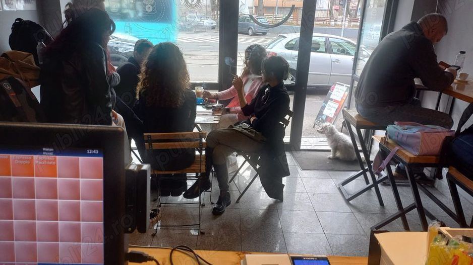 Afacere la cheie de vanzare - Poză 2