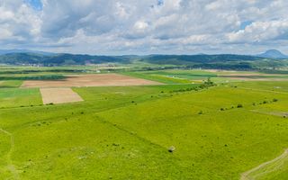 Teren de investiție în zona Tohanul Nou - Bran  5.800 mp - Poză 4