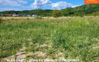 Teren intravilan Rm.Vl. Goranu-Calea Bucuresti 1100 mp aproape de oras - Poză 1