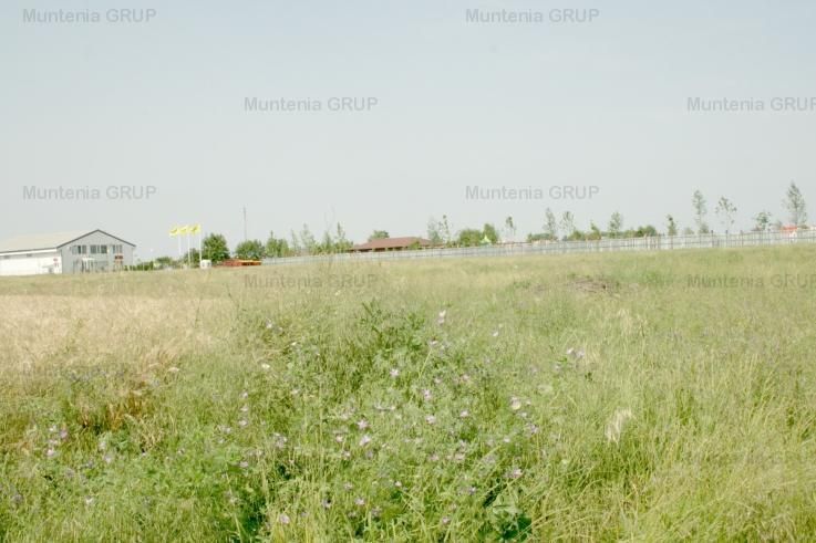 OTOPENI - Aqua Magic, teren intravilan S =  8.000 mp. - Poză 6