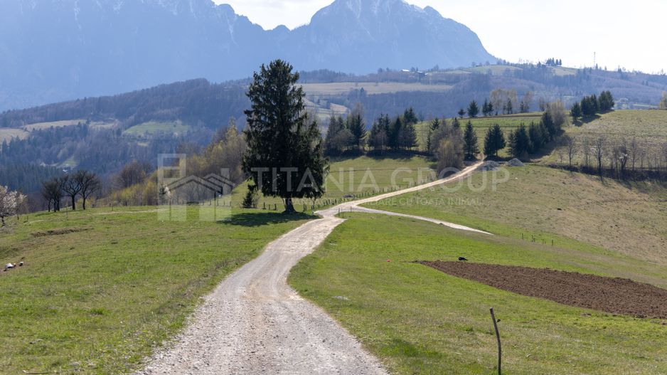 Teren intravilan în Poiana Mărului, 3.791 mp cu priveliste panoramica - Poză 1