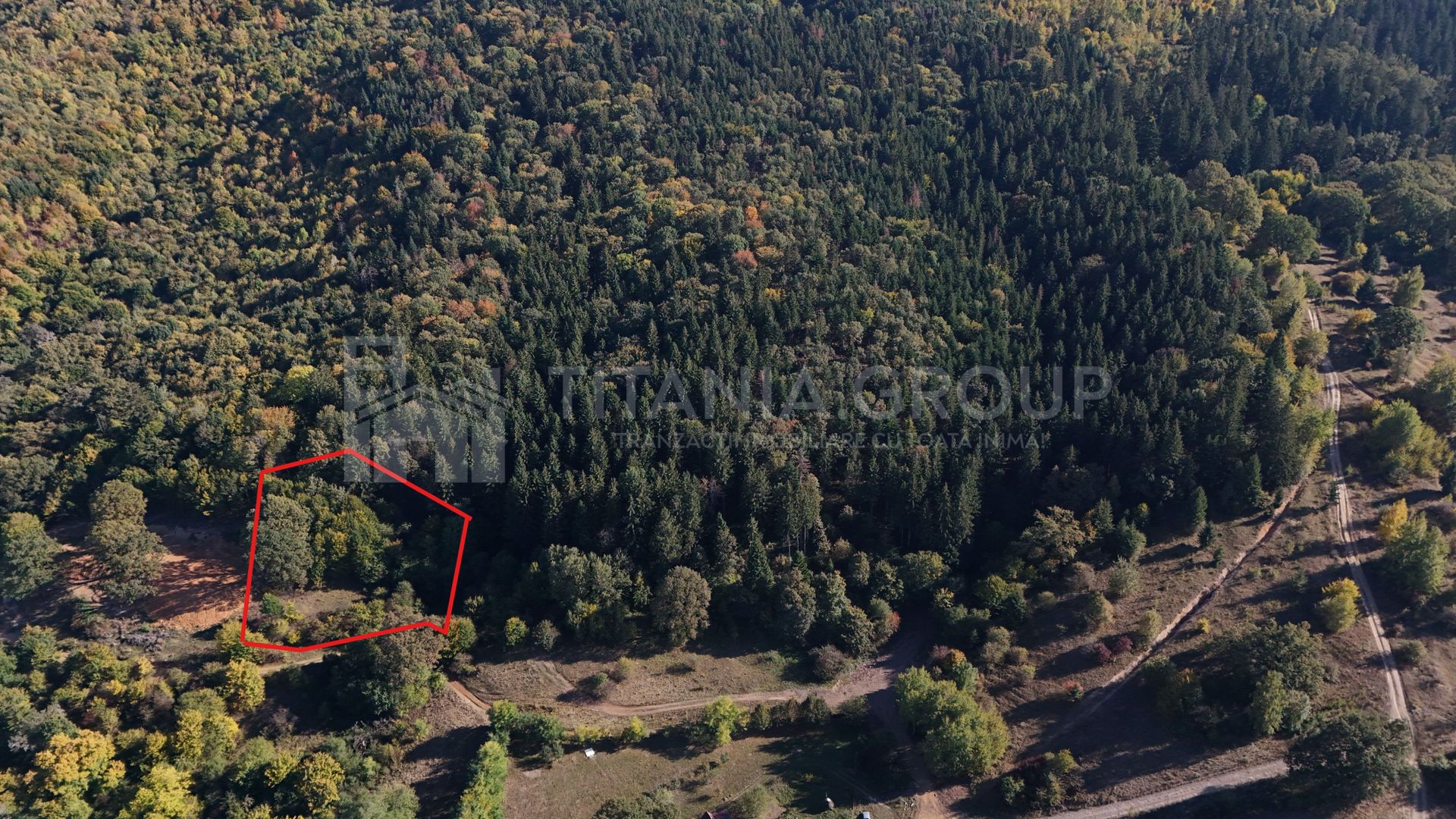 Aproape de Brașov, departe de agitație - Teren cu pădure în Cristian - Poză 4