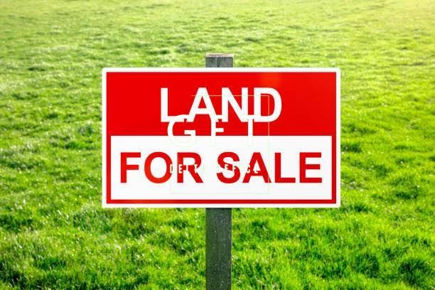 Teren Intravilan+ cladire ( spatiu comercial) | Oportunitate de Investiție - Poză 1