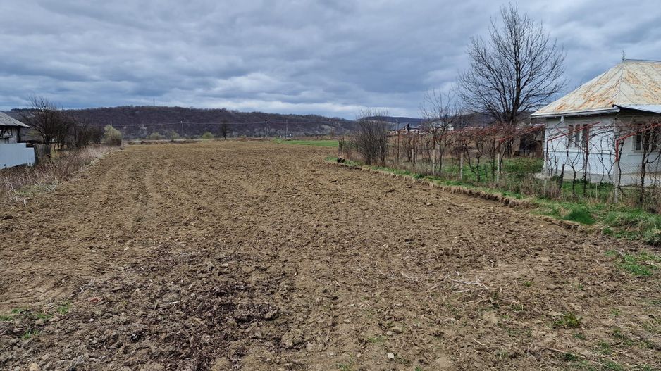 Teren intravilan in Sanduleni/Bacau de vanzare - Poză 11